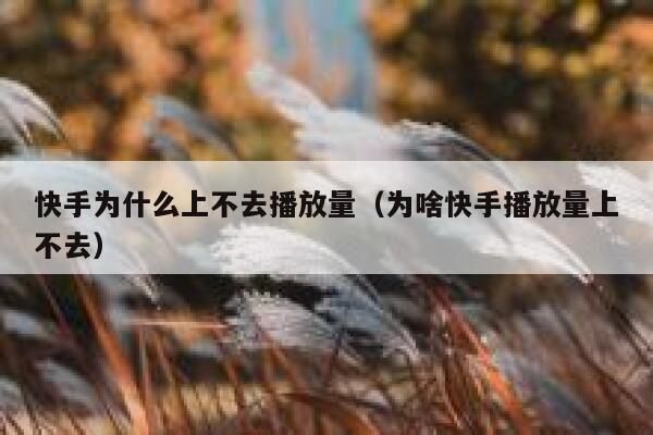 快手为什么上不去播放量(为啥快手播放量上不去) 第1张 快手为什么上不去播放量(为啥快手播放量上不去) 第1张