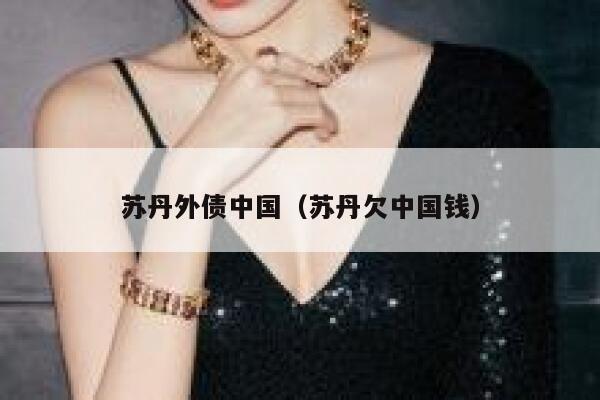 苏丹外债中国（苏丹欠中国钱） 第1张