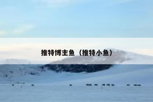 推特博主鱼（推特小鱼） 第1张