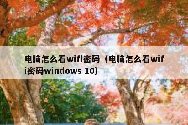 电脑怎么看wifi密码(电脑怎么看wifi密码windows 10) 第1张 电脑怎么看wifi密码(电脑怎么看wifi密码windows 10) 第1张