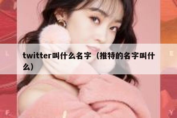 twitter叫什么名字（推特的名字叫什么） 第1张