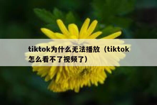 tiktok为什么无法播放（tiktok怎么看不了视频了） 第1张