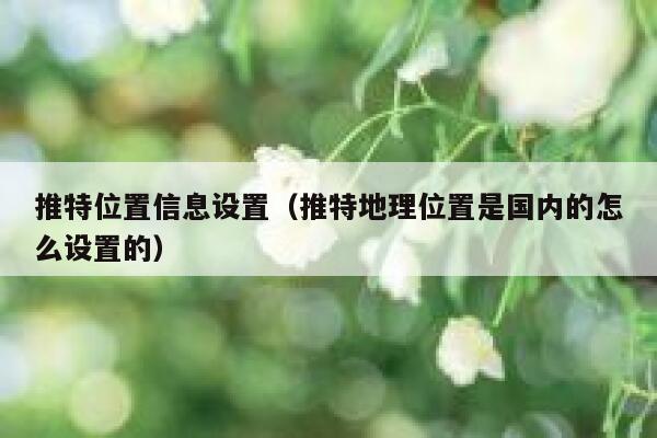 推特位置信息设置（推特地理位置是国内的怎么设置的） 第1张
