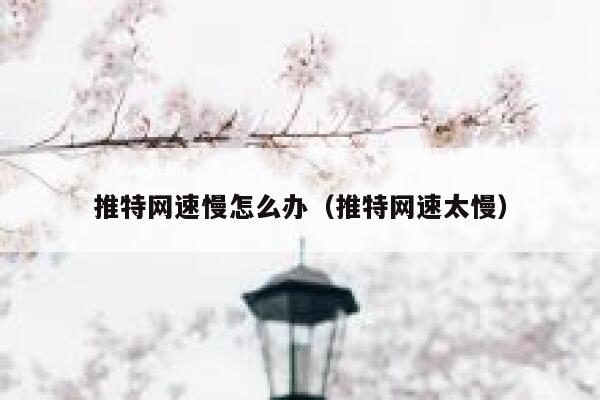 推特网速慢怎么办（推特网速太慢） 第1张