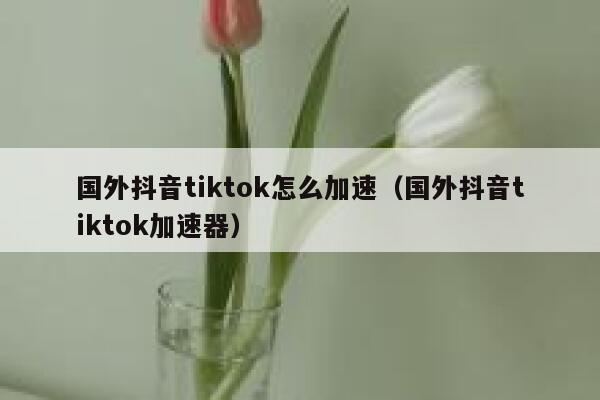 国外抖音tiktok怎么加速(国外抖音tiktok加速器) 第1张 国外抖音tiktok怎么加速(国外抖音tiktok加速器) 第1张