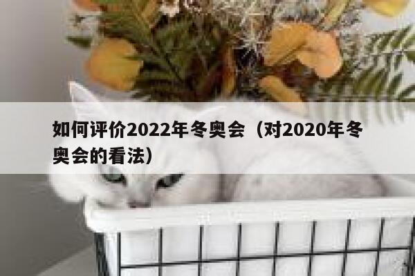 如何评价2022年冬奥会(对2020年冬奥会的看法) 第1张 如何评价2022年冬奥会(对2020年冬奥会的看法) 第1张