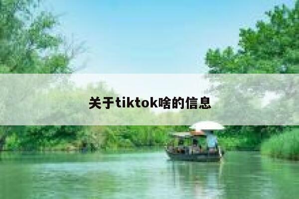 关于tiktok啥的信息 第1张