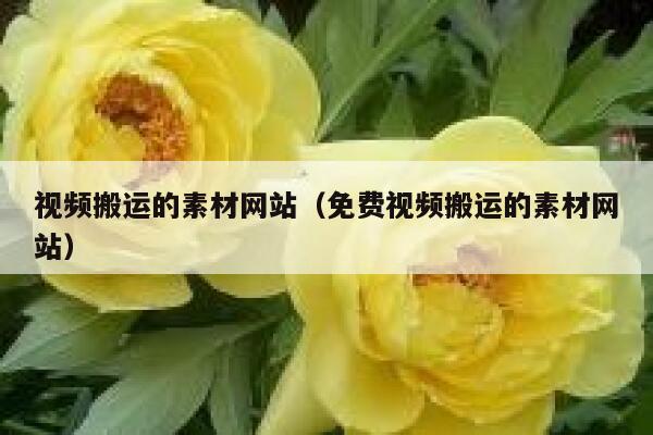 视频搬运的素材网站（免费视频搬运的素材网站） 第1张