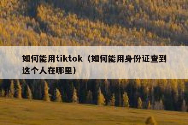 如何能用tiktok（如何能用身份证查到这个人在哪里） 第1张