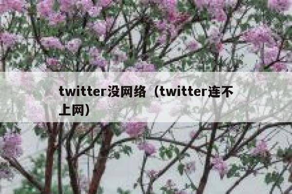 twitter没网络（twitter连不上网） 第1张
