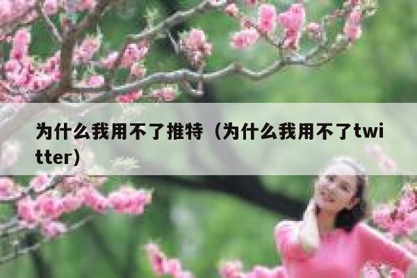 为什么我用不了推特（为什么我用不了twitter） 第1张