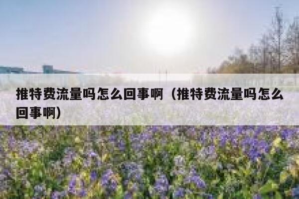 推特费流量吗怎么回事啊（推特费流量吗怎么回事啊） 第1张