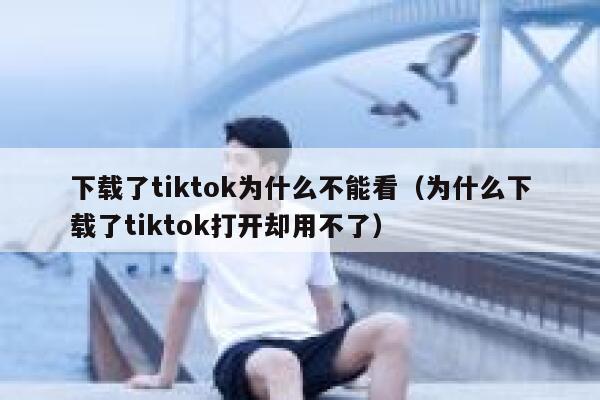 下载了tiktok为什么不能看（为什么下载了tiktok打开却用不了） 第1张