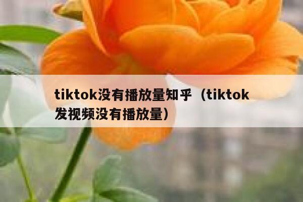 tiktok没有播放量知乎（tiktok发视频没有播放量） 第1张
