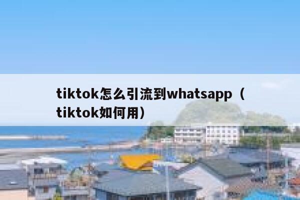 tiktok怎么引流到whatsapp（tiktok如何用） 第1张