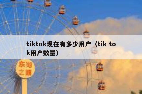 tiktok现在有多少用户（tik tok用户数量） 第1张