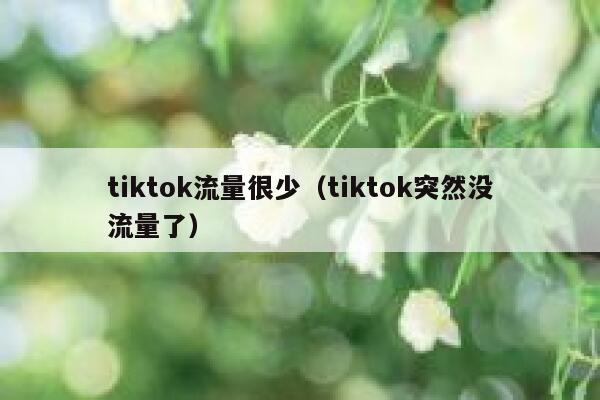 tiktok流量很少（tiktok突然没流量了） 第1张