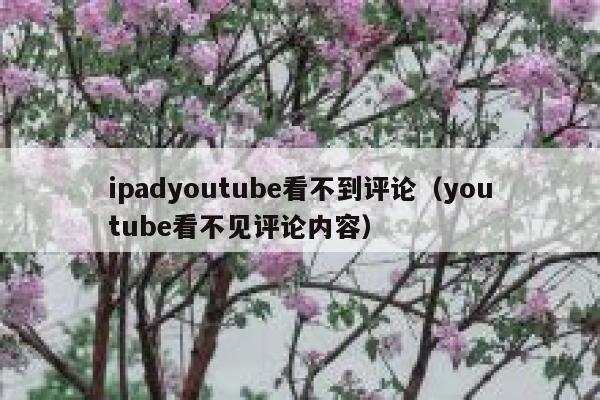 ipadyoutube看不到评论（youtube看不见评论内容） 第1张