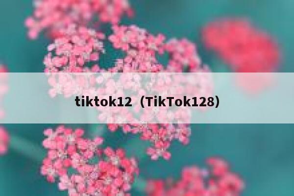 tiktok12（TikTok128） 第1张