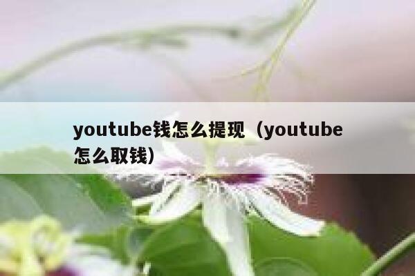 youtube钱怎么提现（youtube怎么取钱） 第1张