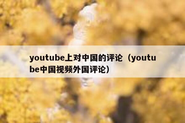 youtube上对中国的评论（youtube中国视频外国评论） 第1张
