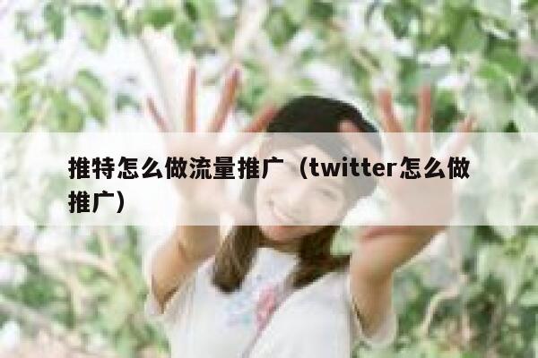 推特怎么做流量推广（twitter怎么做推广） 第1张