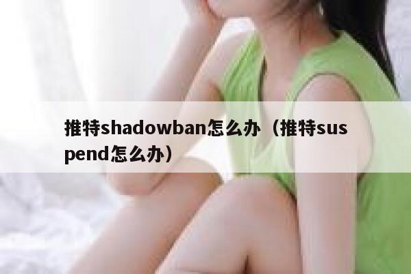 推特shadowban怎么办（推特suspend怎么办） 第1张