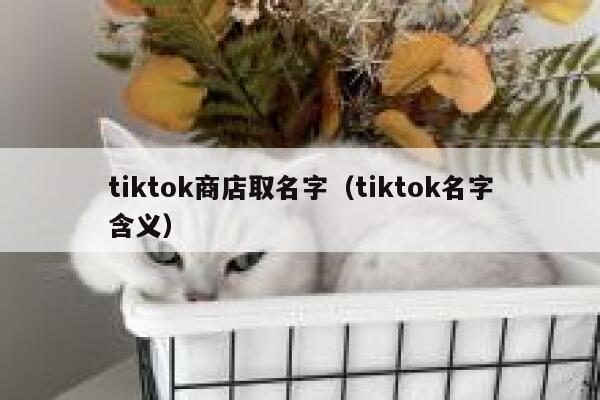 tiktok商店取名字（tiktok名字含义） 第1张