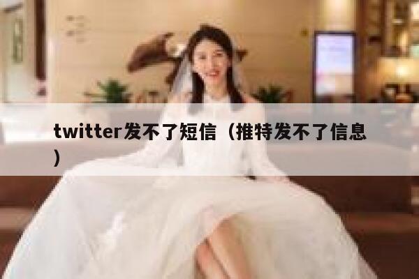 twitter发不了短信（推特发不了信息） 第1张