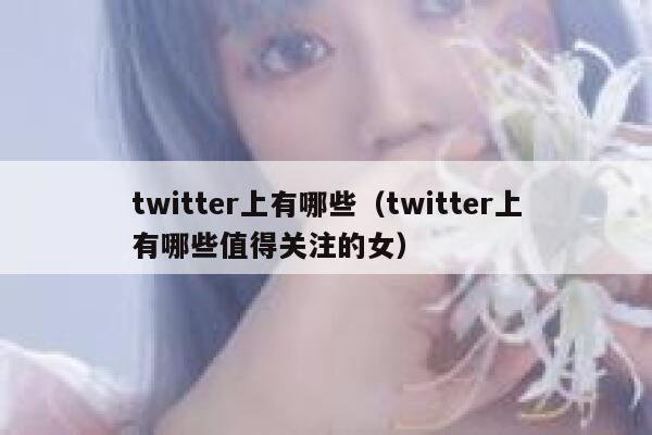 twitter上有哪些（twitter上有哪些值得关注的女） 第1张