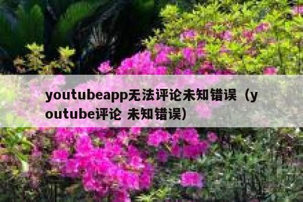 youtubeapp无法评论未知错误（youtube评论 未知错误） 第1张