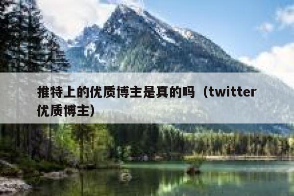 推特上的优质博主是真的吗（twitter优质博主） 第1张