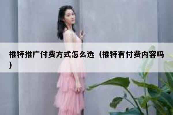 推特推广付费方式怎么选(推特有付费内容吗) 第1张 推特推广付费方式怎么选(推特有付费内容吗) 第1张