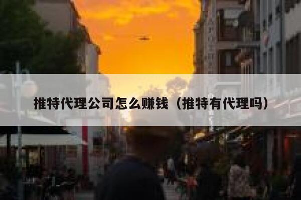 推特代理公司怎么赚钱（推特有代理吗） 第1张