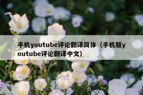 手机youtube评论翻译简体(手机版youtube评论翻译中文) 第1张 手机youtube评论翻译简体(手机版youtube评论翻译中文) 第1张