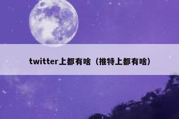 twitter上都有啥（推特上都有啥） 第1张