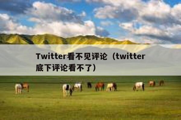 Twitter看不见评论（twitter底下评论看不了） 第1张