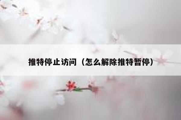 推特停止访问(怎么解除推特暂停) 第1张 推特停止访问(怎么解除推特暂停) 第1张