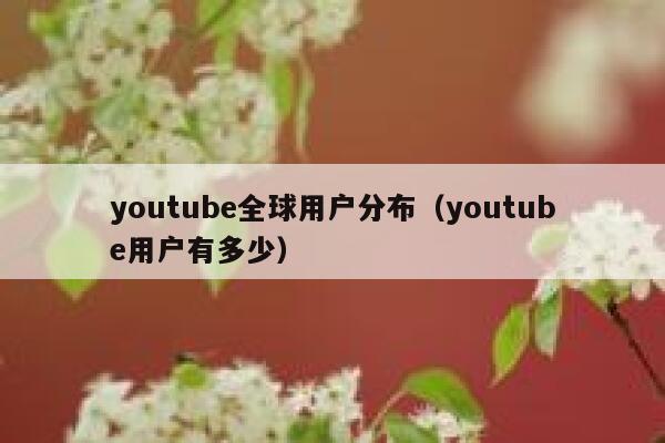 youtube全球用户分布(youtube用户有多少) 第1张 youtube全球用户分布(youtube用户有多少) 第1张