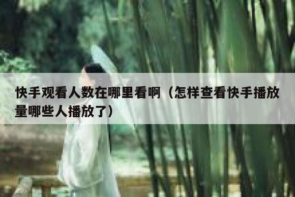 快手观看人数在哪里看啊（怎样查看快手播放量哪些人播放了） 第1张