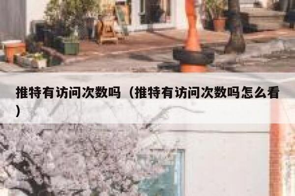 推特有访问次数吗（推特有访问次数吗怎么看） 第1张