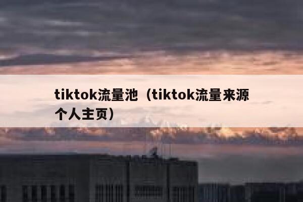 tiktok流量池（tiktok流量来源个人主页） 第1张