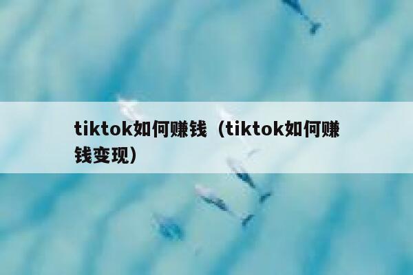 tiktok如何赚钱(tiktok如何赚钱变现) 第1张 tiktok如何赚钱(tiktok如何赚钱变现) 第1张