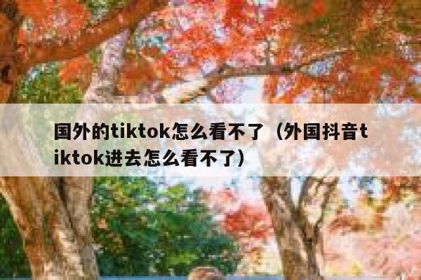 国外的tiktok怎么看不了（外国抖音tiktok进去怎么看不了） 第1张