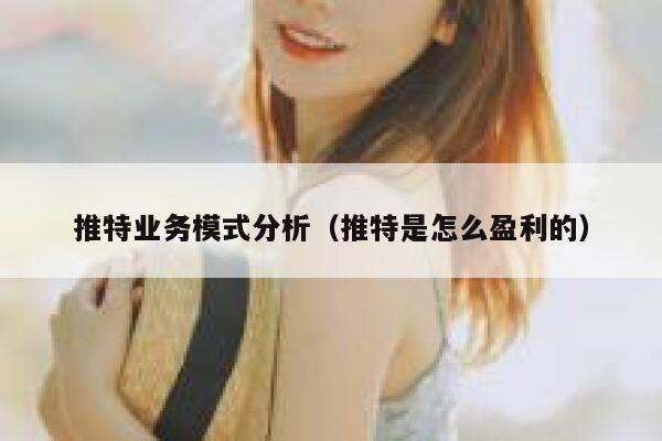 推特业务模式分析（推特是怎么盈利的） 第1张