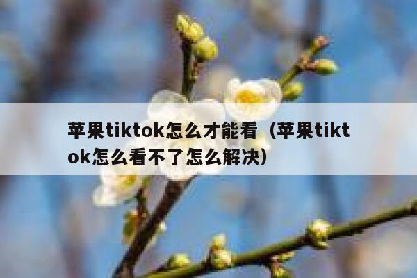 苹果tiktok怎么才能看(苹果tiktok怎么看不了怎么解决) 第1张 苹果tiktok怎么才能看(苹果tiktok怎么看不了怎么解决) 第1张
