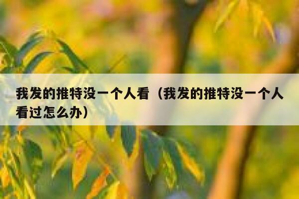 我发的推特没一个人看(我发的推特没一个人看过怎么办) 第1张 我发的推特没一个人看(我发的推特没一个人看过怎么办) 第1张