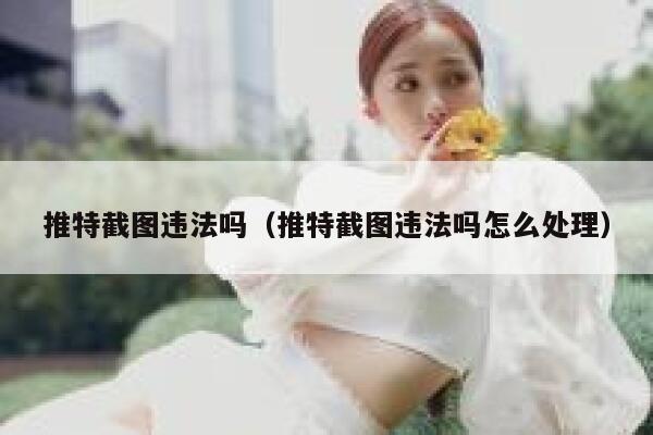 推特截图违法吗（推特截图违法吗怎么处理） 第1张