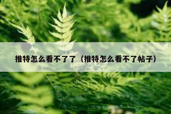 推特怎么看不了了（推特怎么看不了帖子） 第1张