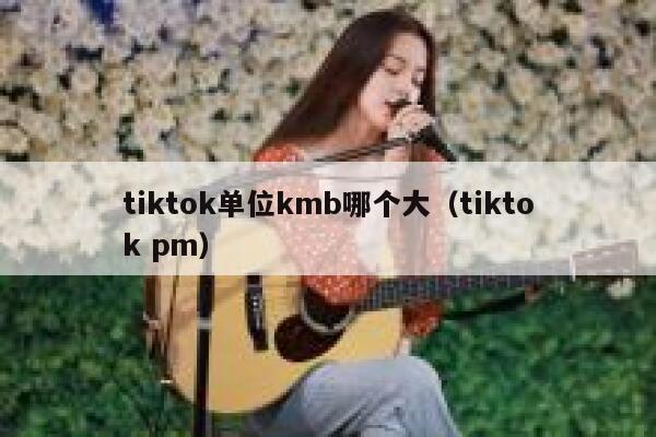 tiktok单位kmb哪个大（tiktok pm） 第1张